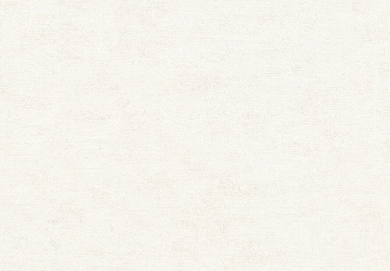 HookedOnWalls Passe Partout 2024 - 89507 (Met Gratis Lijm*)