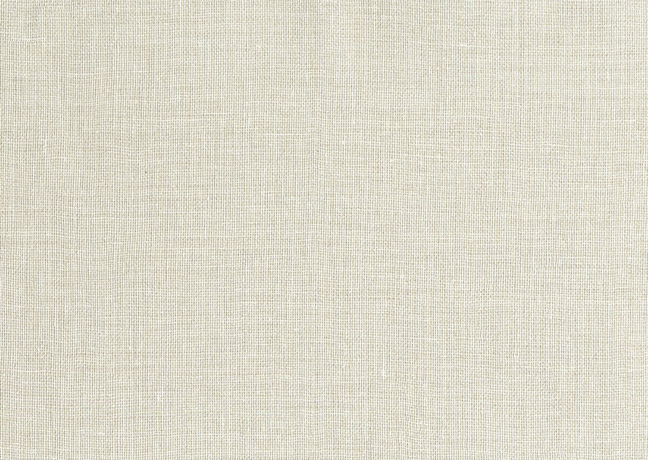 Hooked on Walls Passe Partout 2024 Havana 89561