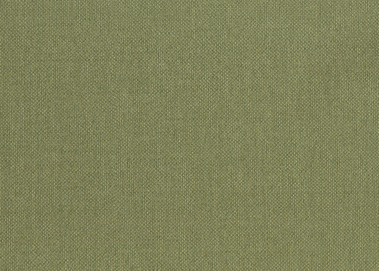 Hooked on Walls Passe Partout 2024 Baobab 89865