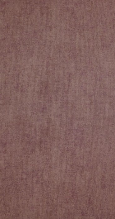 BN Walls Color Stories Bellevue 218517