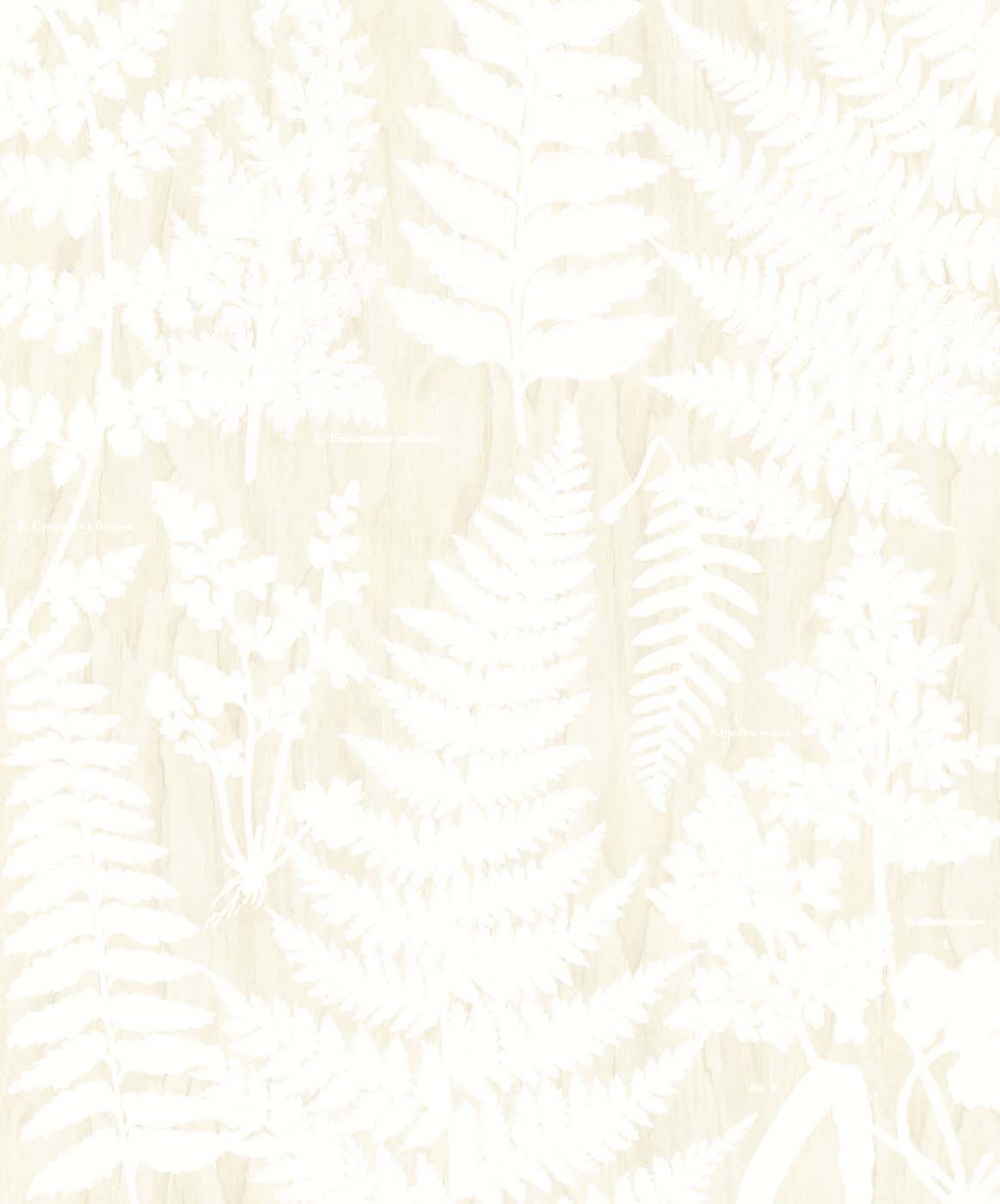 Eijffinger Wallpower Favorites 309019