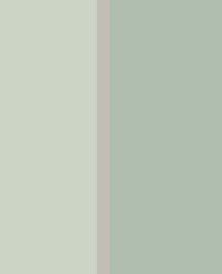 Eijffinger Stripes+ 377168