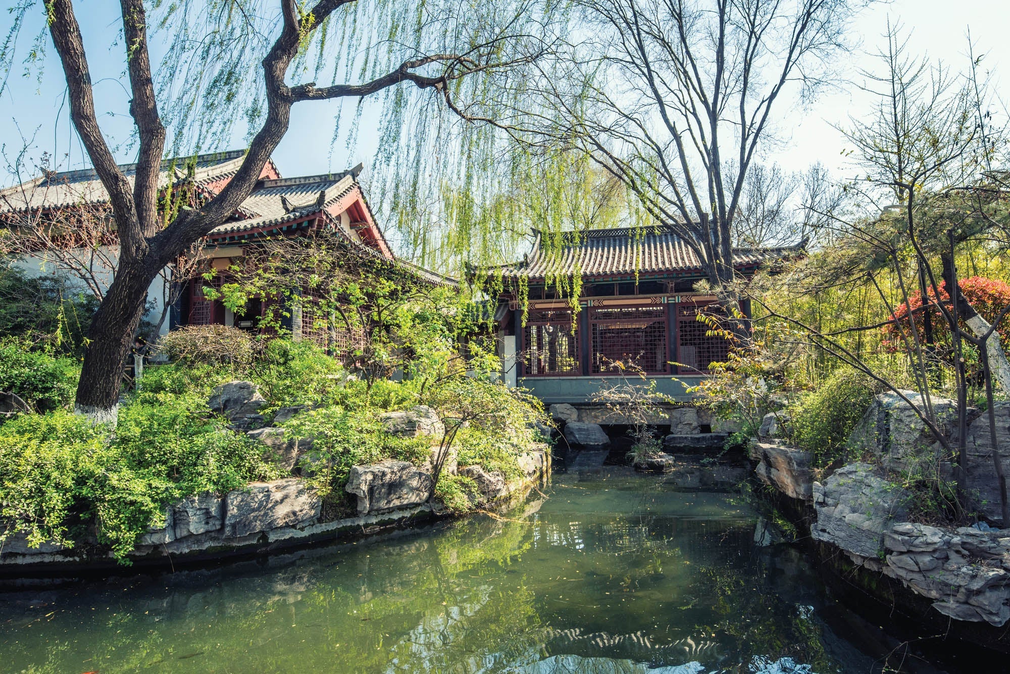 Chinese tuin- LW00067