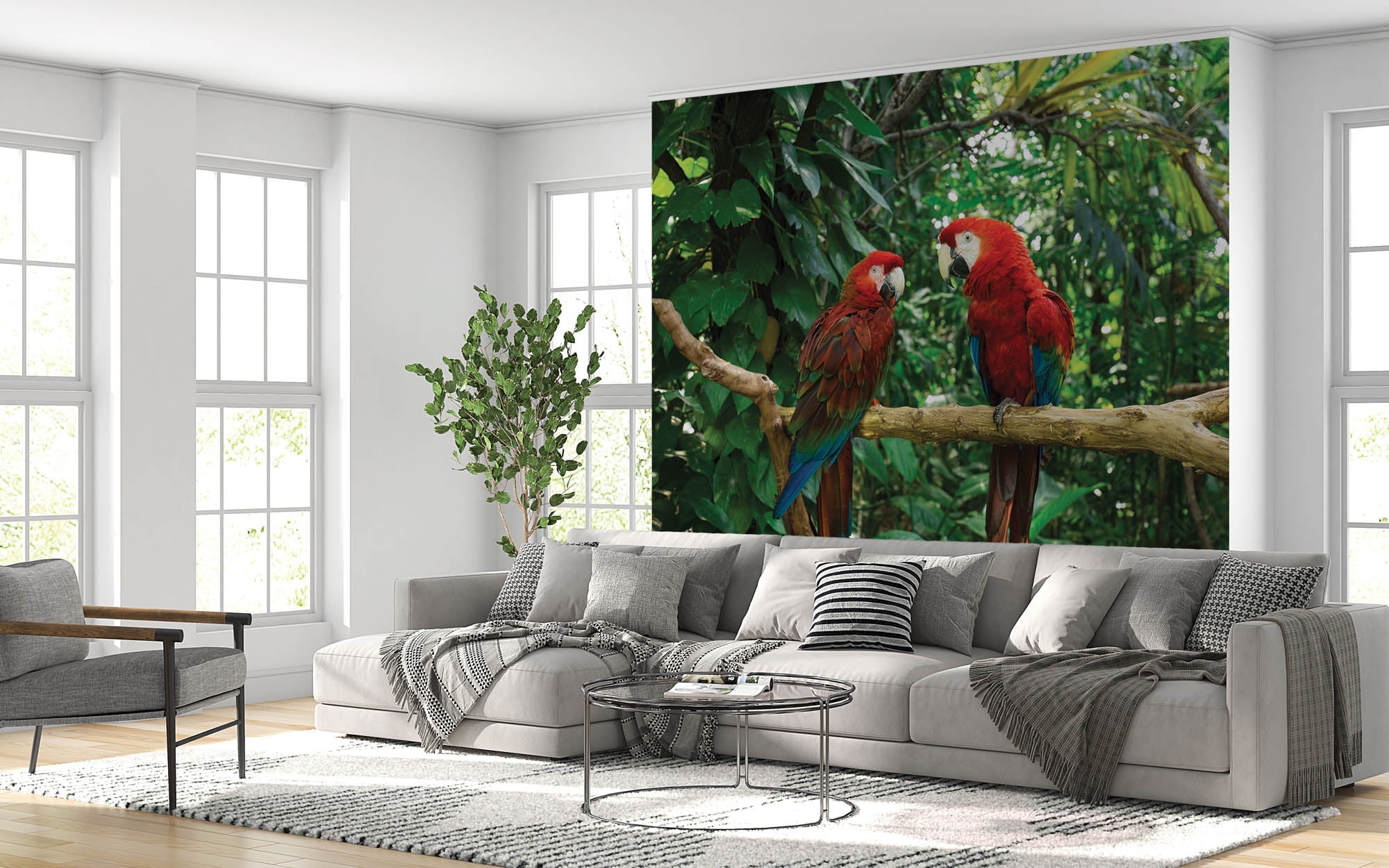 Deux perroquets sur une branche   - LW00174