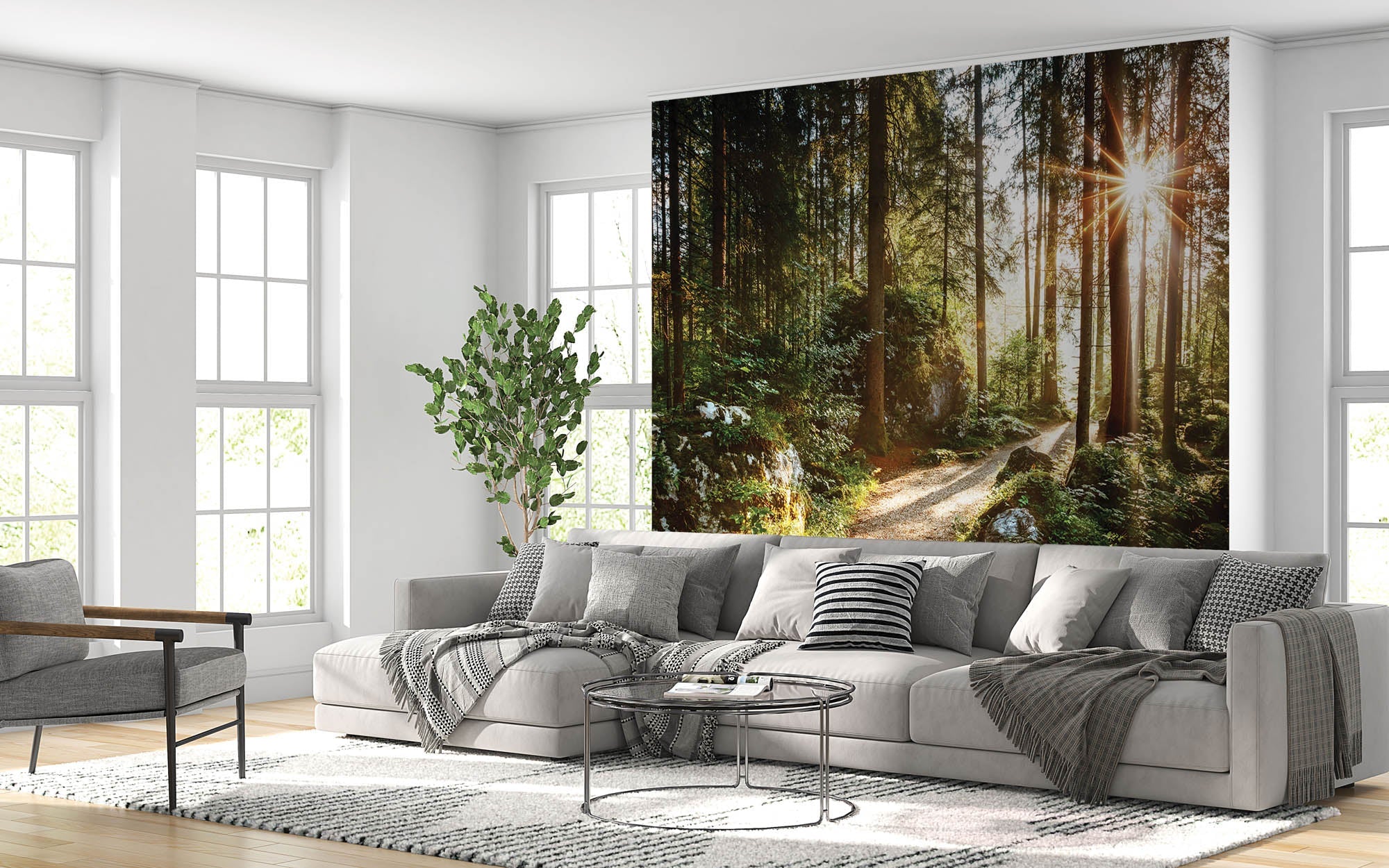 Un sentier à travers une forêt verte avec des rayons de soleil - LW00271