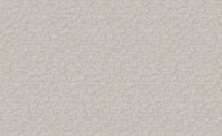 Hooked on Walls Academy Geometrico Phoenix 25642