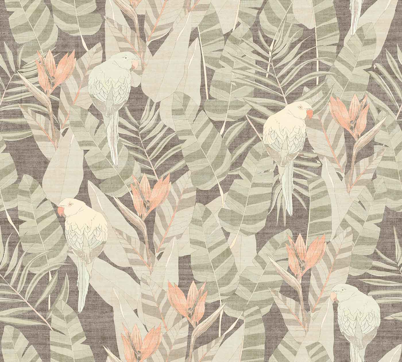 Arte Curiosa Arcadia 13571