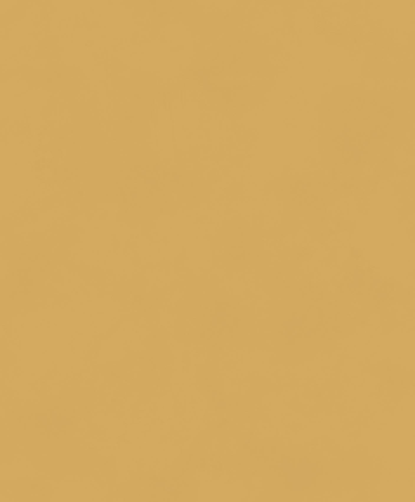 Khrôma The Color Book Color Gold BLONE1011