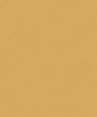 Khrôma The Colour Book Color Gold BLONE1011
