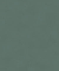 Khrôma The Colour Book Color Pine BLONE1015