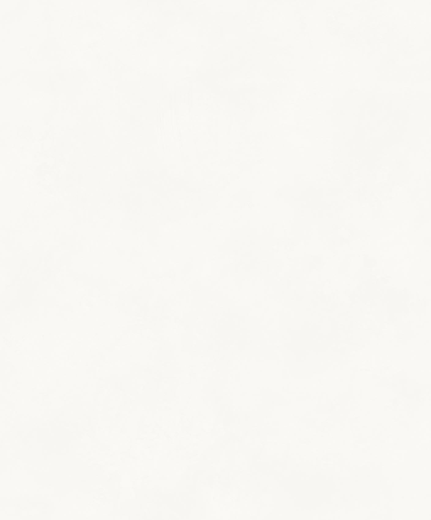Khrôma The Color Book Color Ash BLONE1021