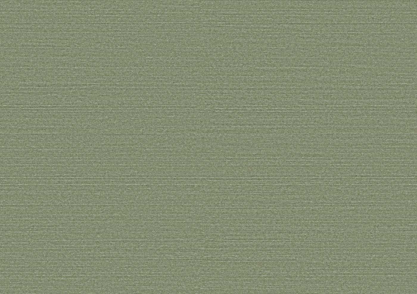Arte Birds Of Paradise Silky BOP316