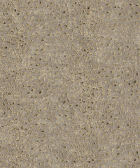 Khrôma Cabinet Tender Amber CAB803