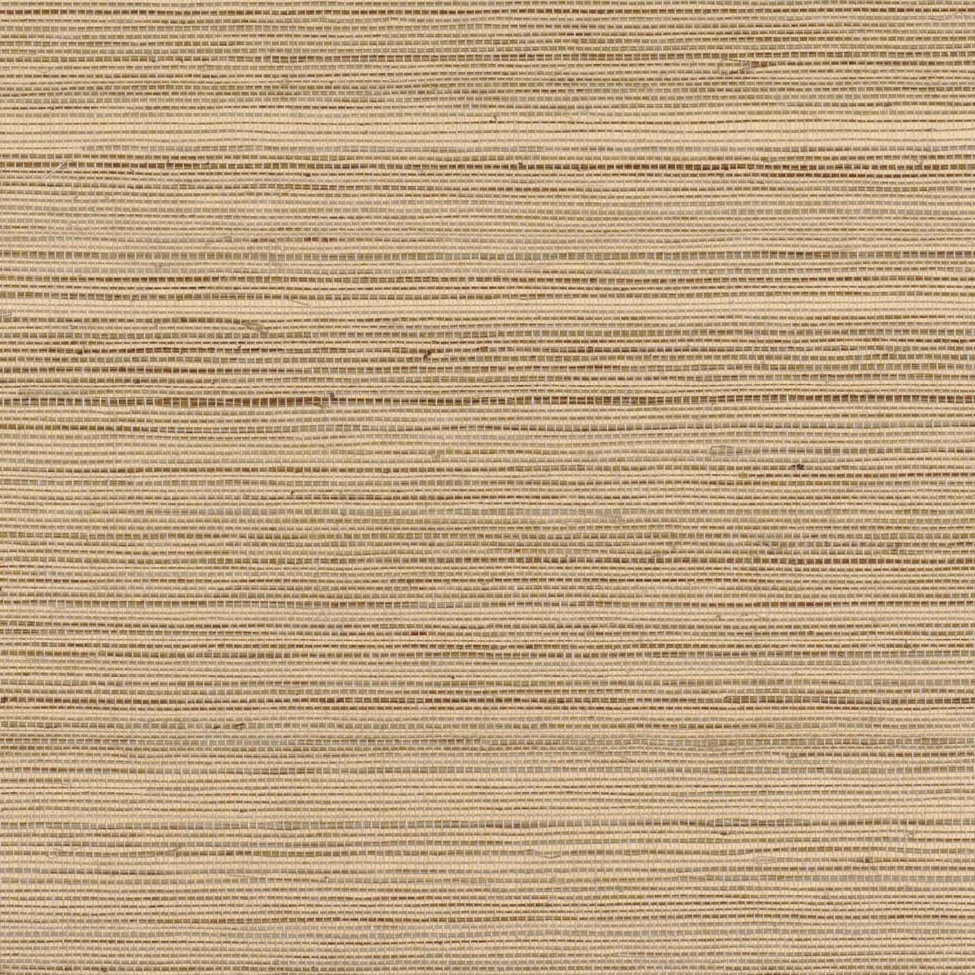 Casamance Sisalana Picta - A70163224 