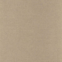 Casamance Alliages Rhodium - 75020406