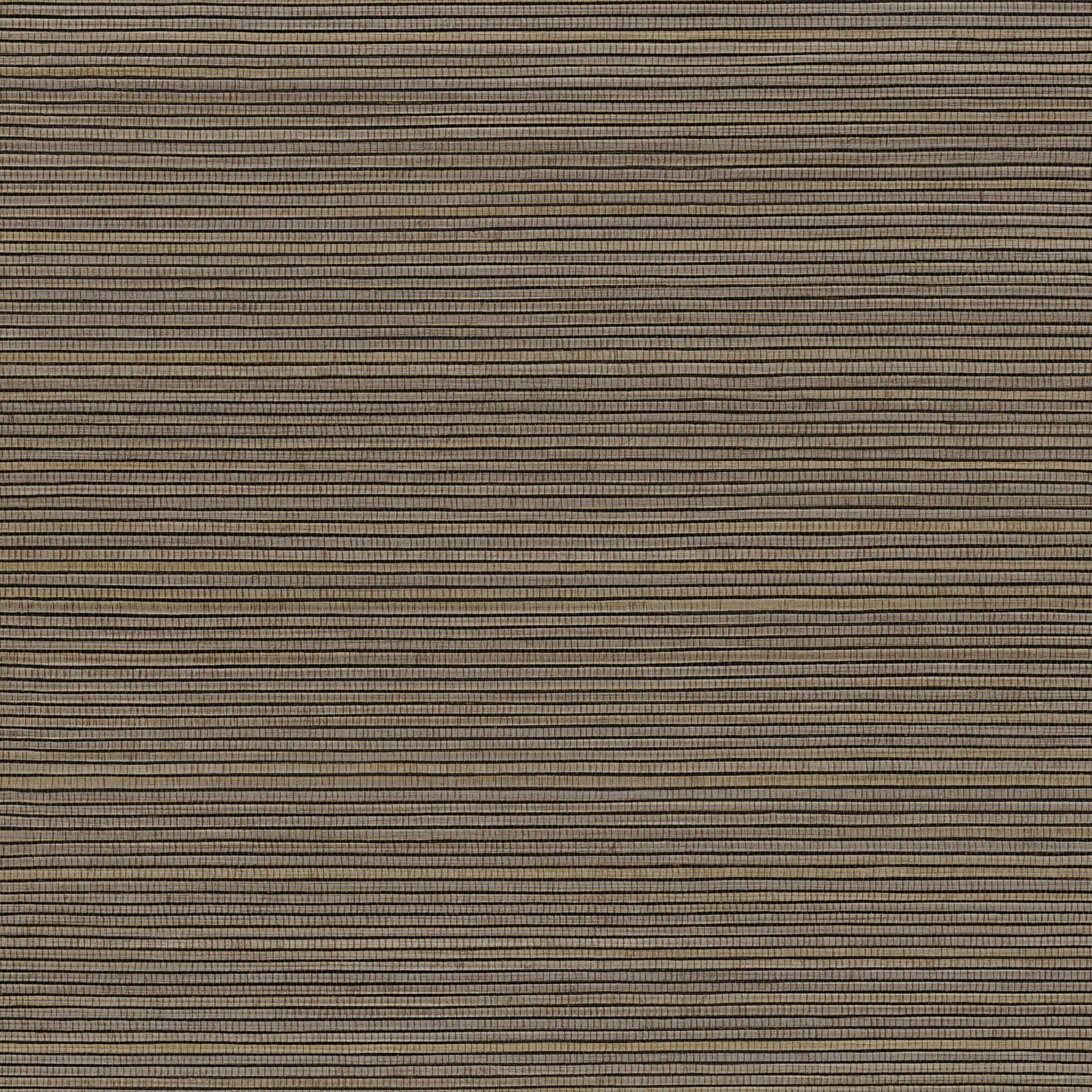 Casamance Textures Vegetales Pandan - 75360304 