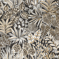 Casamance Golfe Du Bengale Madhuca - 75950916