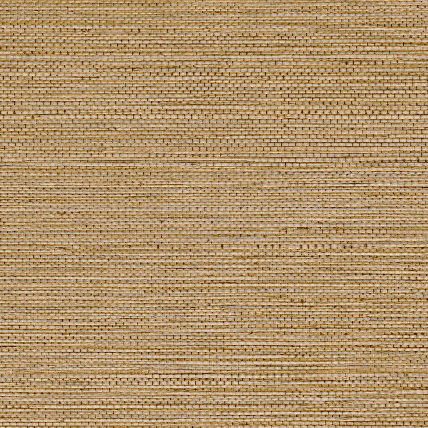Casamance Golfe Du Bengale Zostera - 75972140