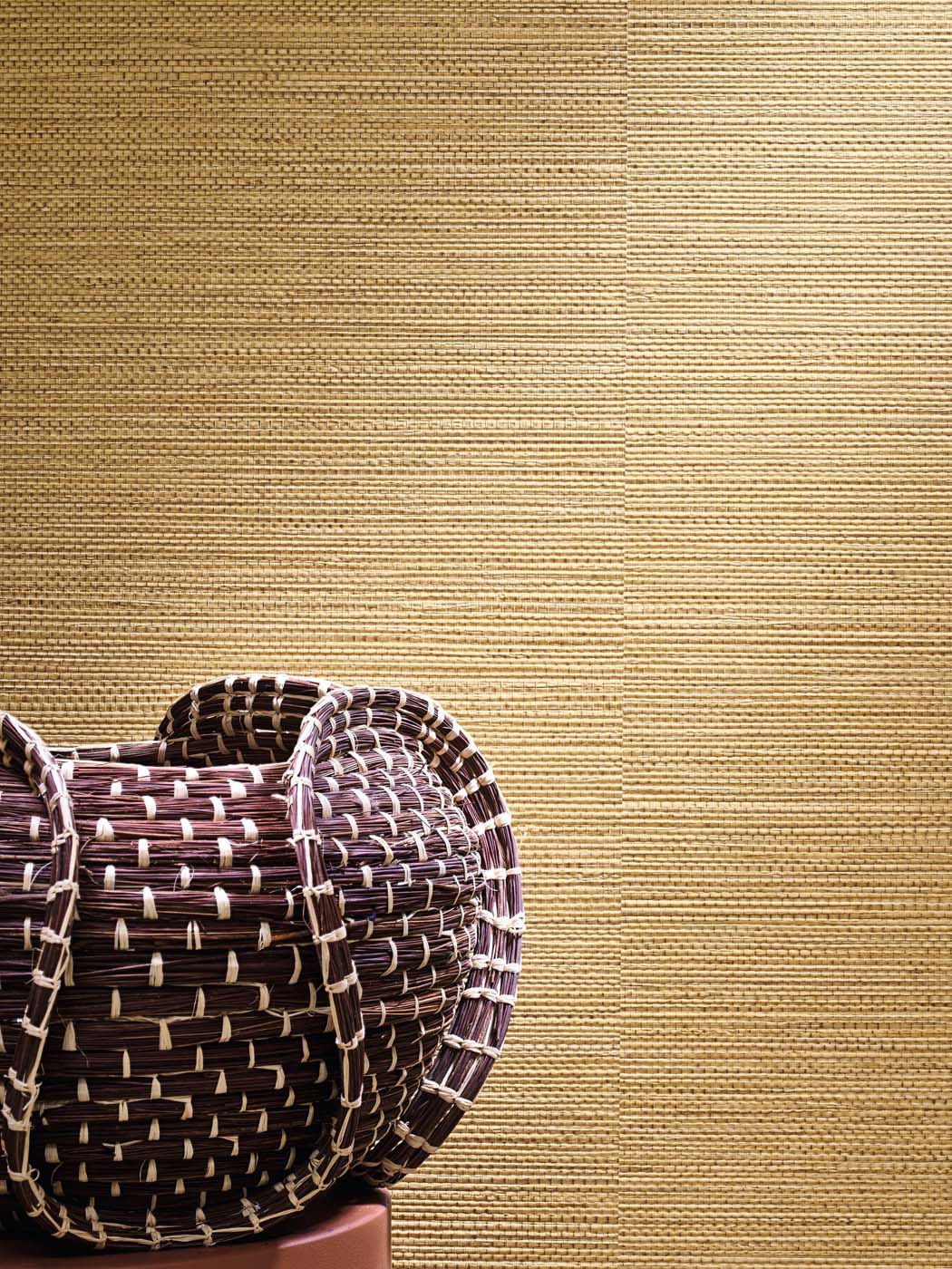 Casamance Golfe Du Bengale Zostera - 75971936