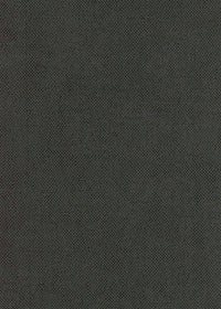 Khrôma Summer Lys Curry CLR018