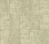 Hooked on Walls Cabane Medinilla 20938