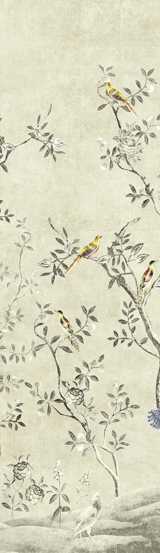 Khrôma Wall designs II Volière Paloma DG2VOL1011