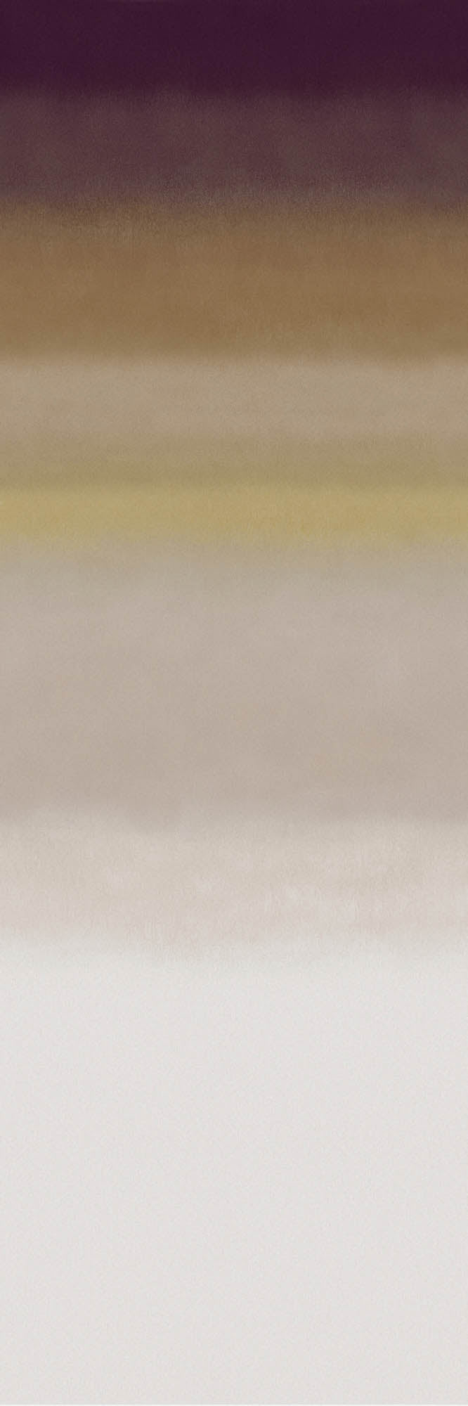 Arte Edition Influence – Panoramique ED4002