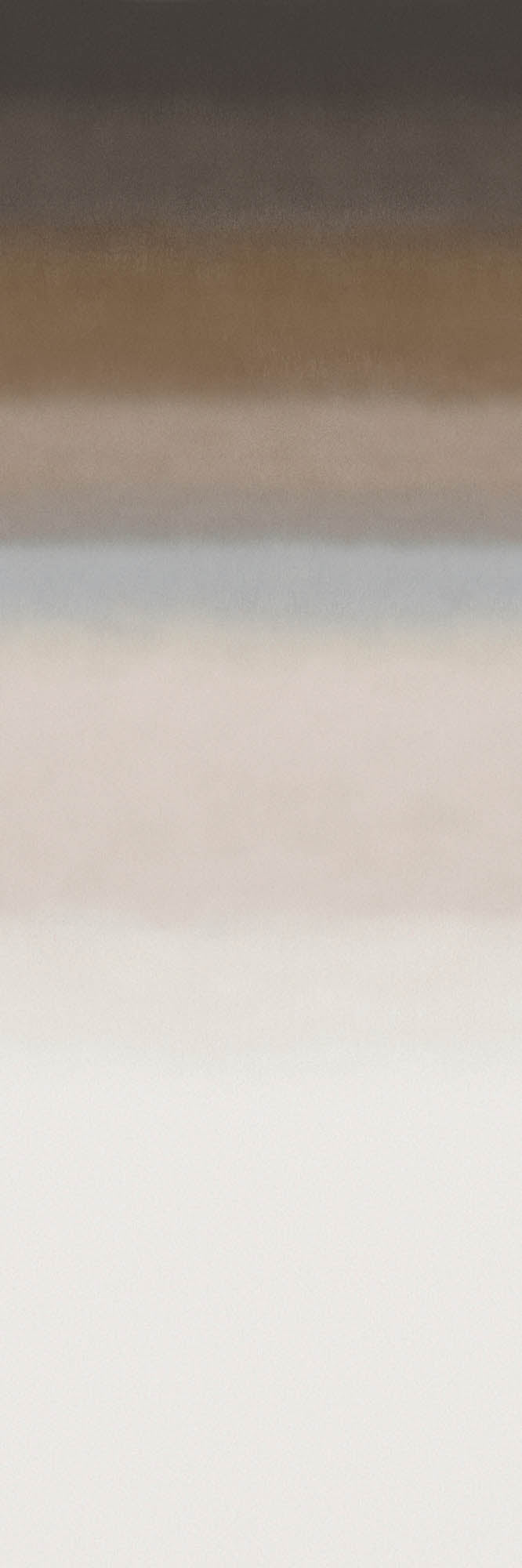 Arte Edition Influence – Panoramique ED4005