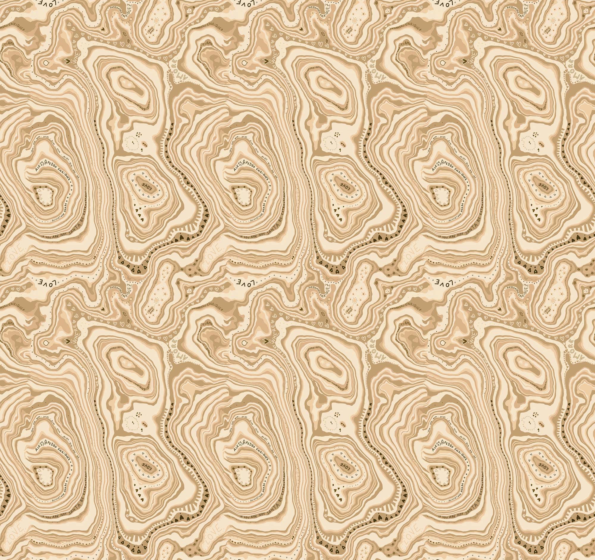 Hooked on Walls Enriquezland Buenachite 25514