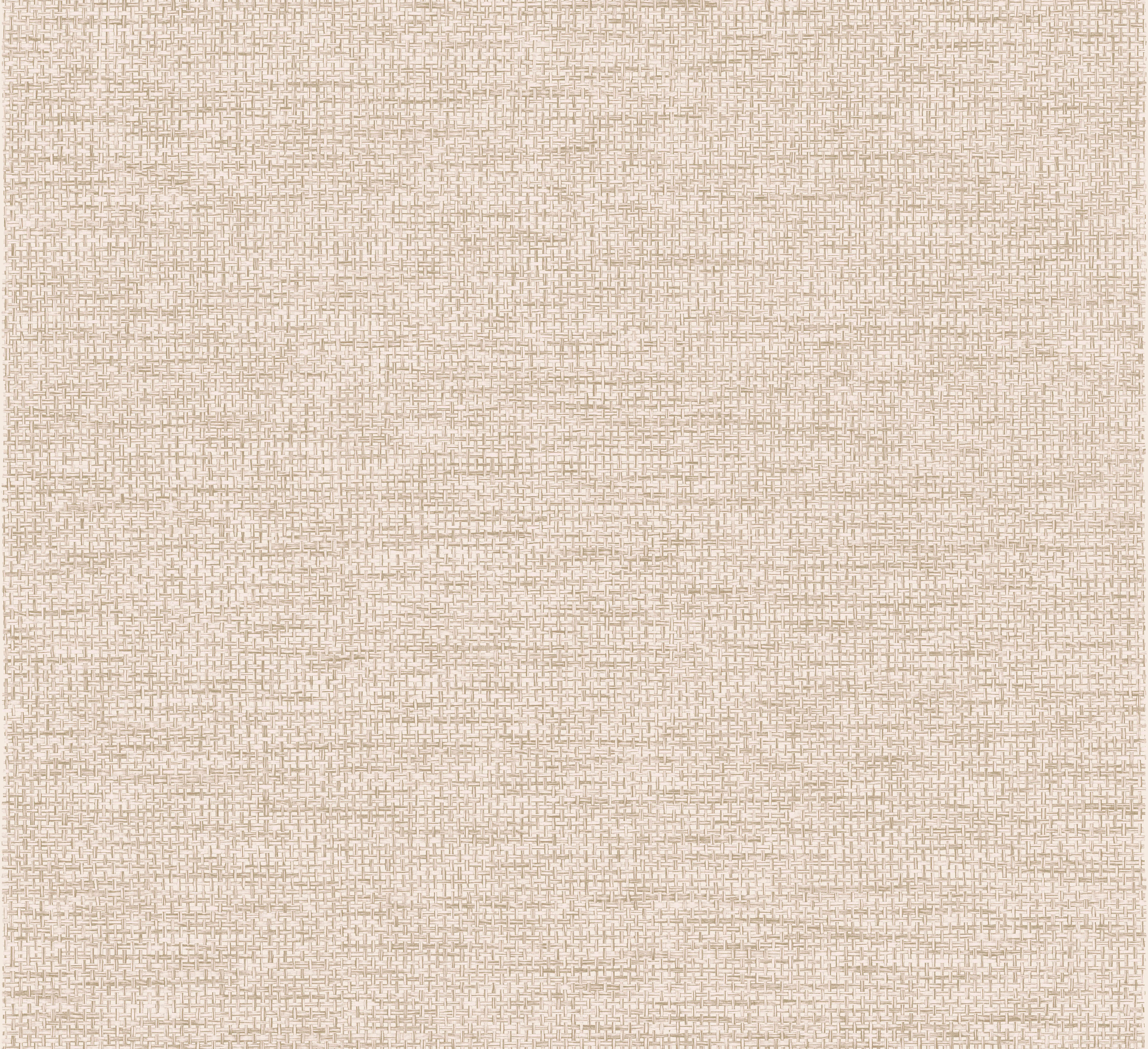Arte Essentials Les Naturels La Raphia Tisse 26741