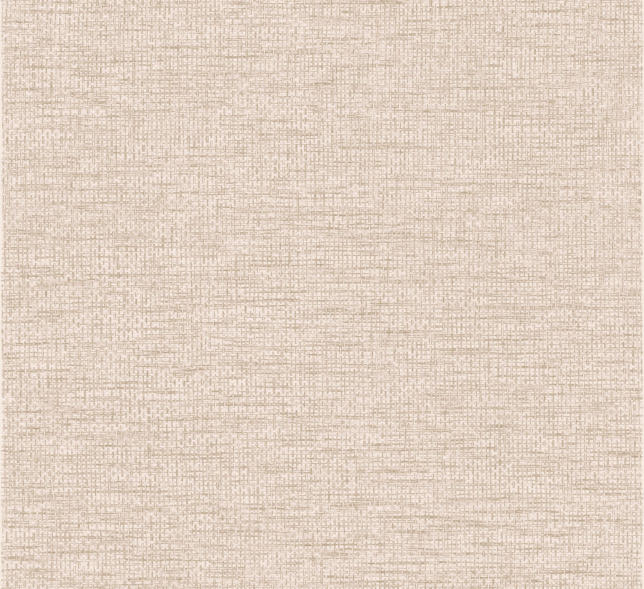 Arte Essentials Les Naturels La Raphia Tisse 26741