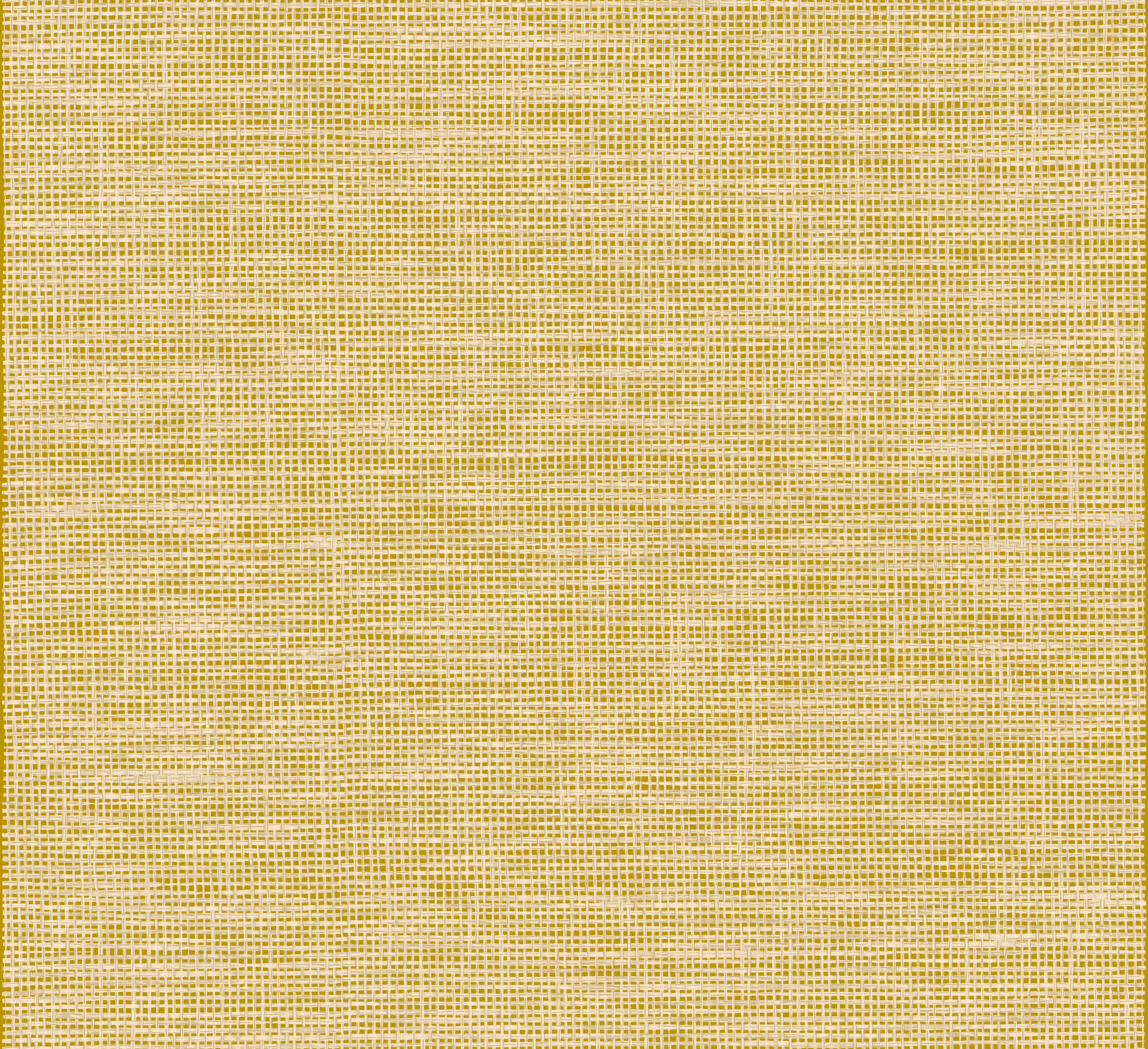 Arte Essentials Les Naturels La Raphia Tisse 26745