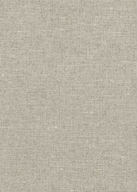 Arte Les Nuances Chanderi 91506