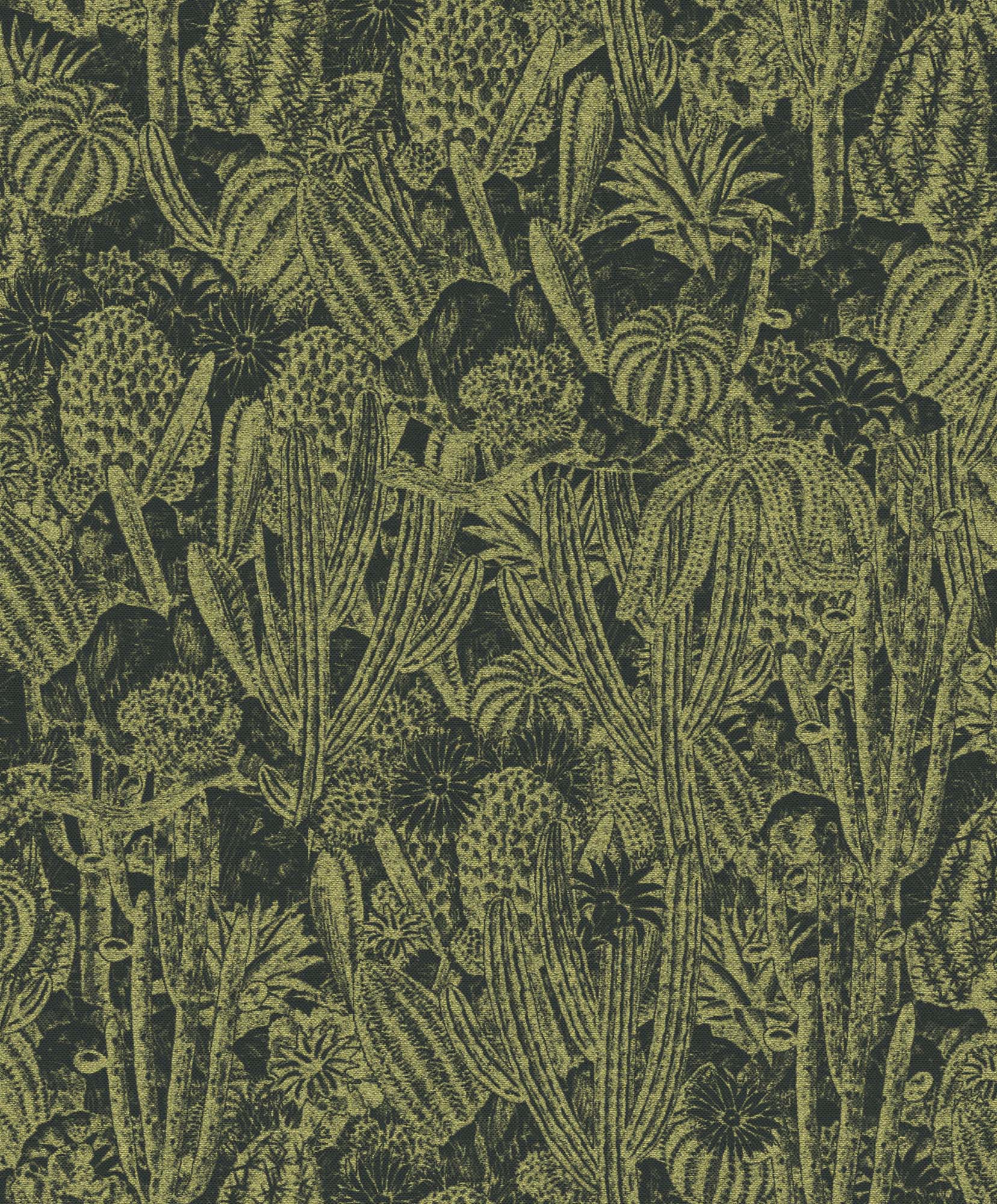 Khroma Havana Cactus Gold HAV204