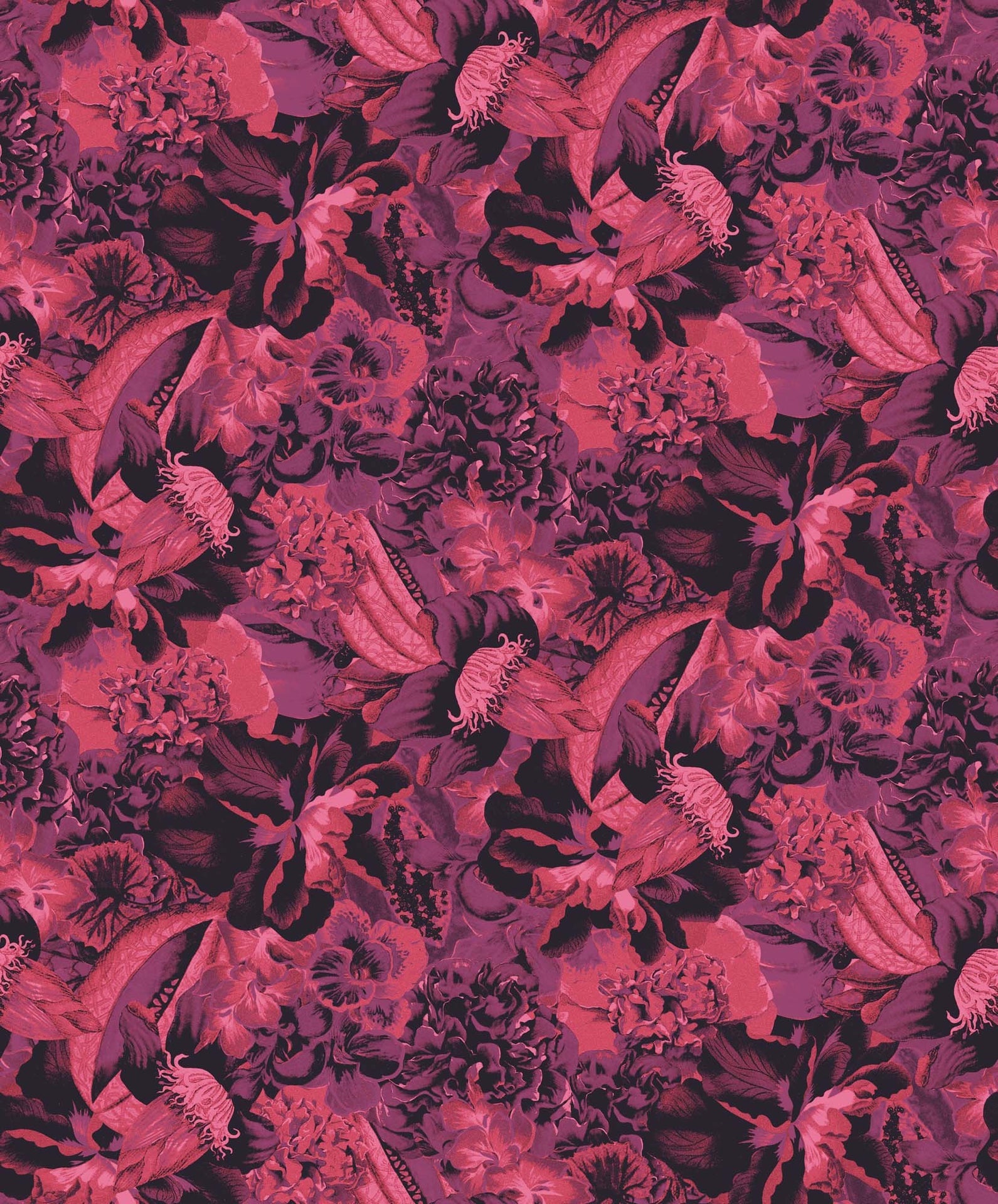 Khrôma Havana Eduardo Viola HAV903