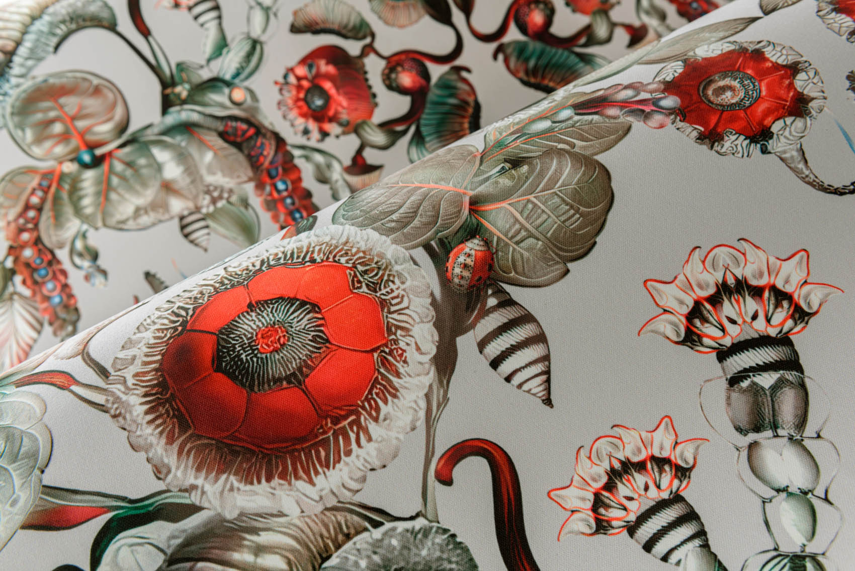 Arte Moooi Green House Coccinella Bella MO5000