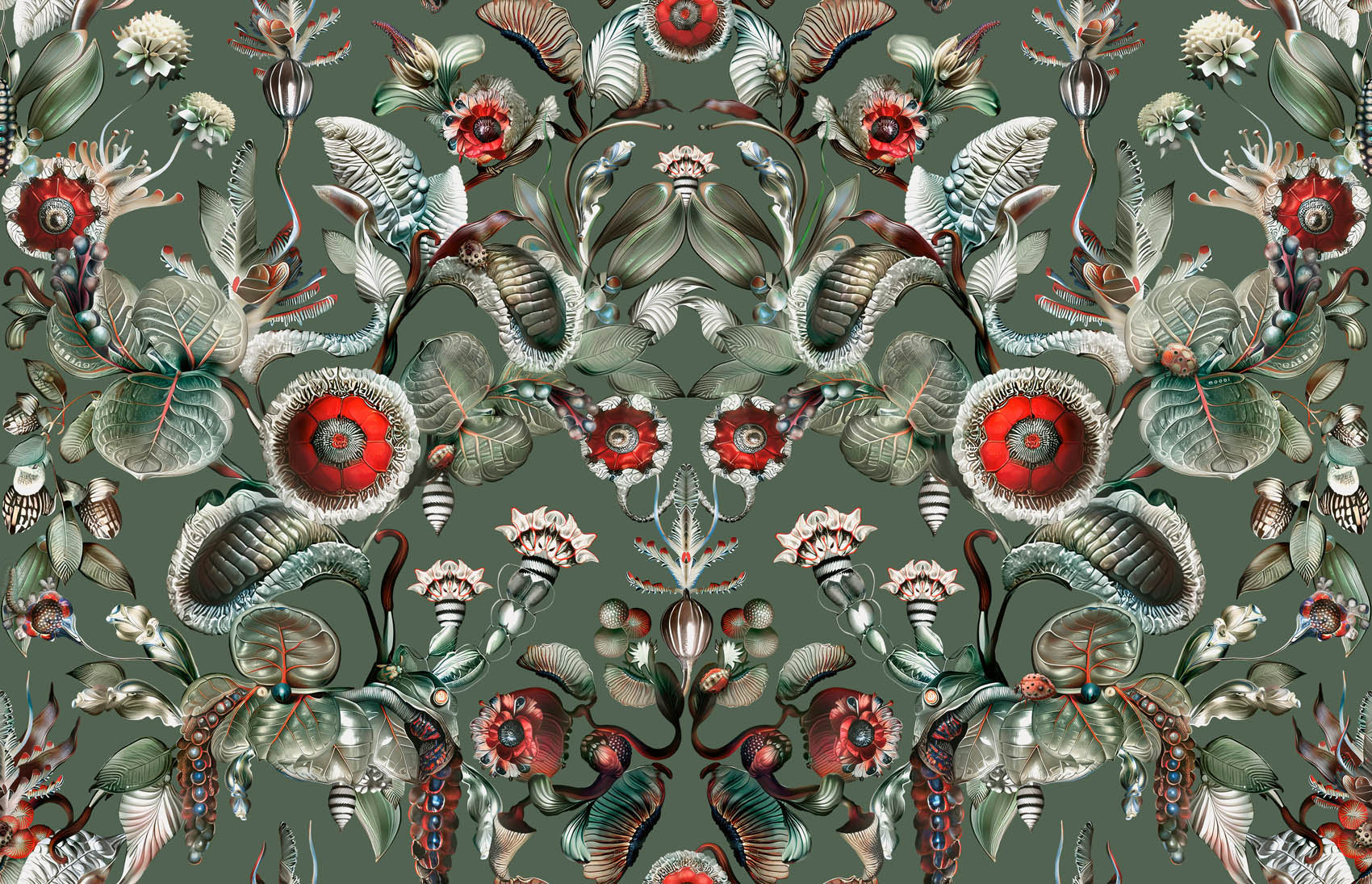 Arte Moooi Gewächshaus Coccinella Bella MO5001