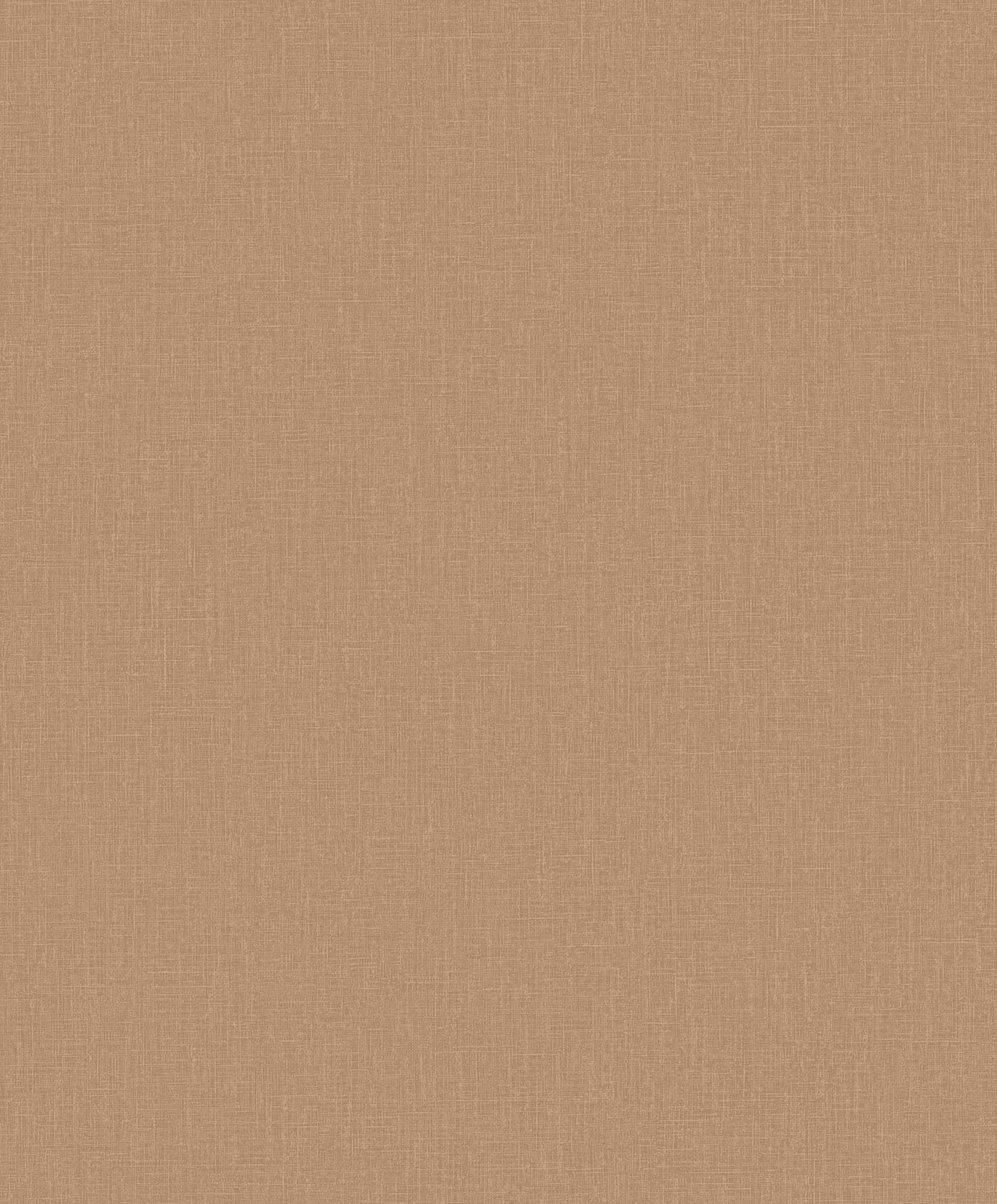 Hooked on Walls Neutralizer 01 Plain 31620