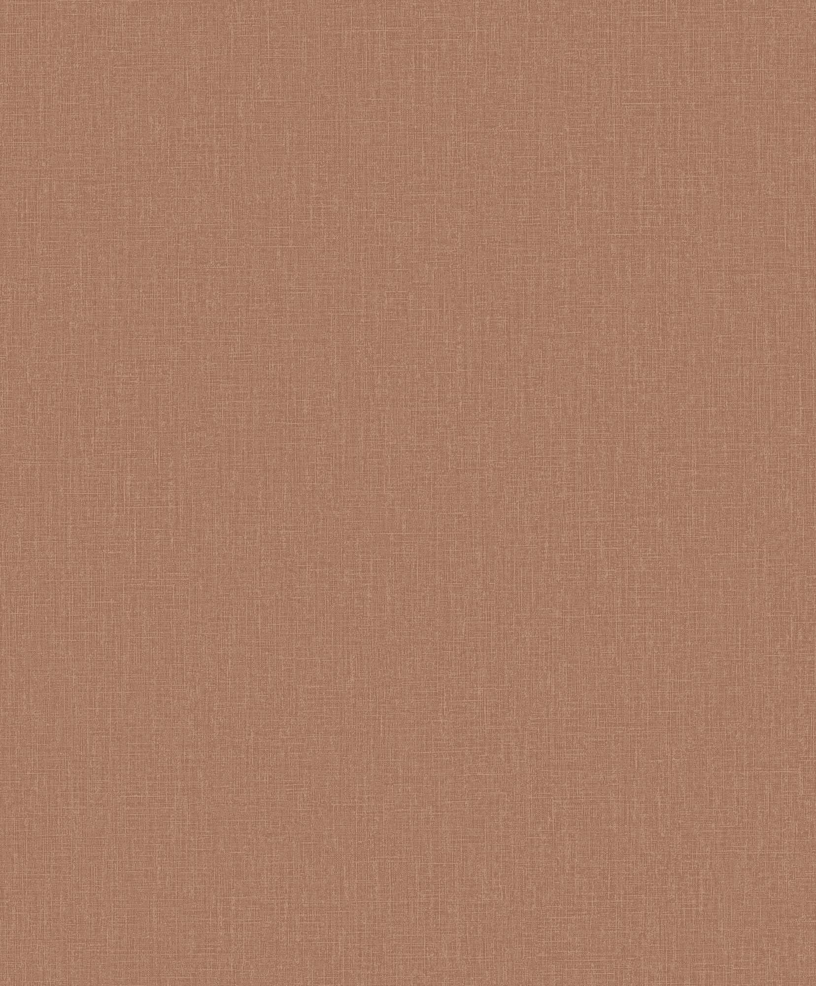 Hooked on Walls Neutralizer 01 Plain 31621