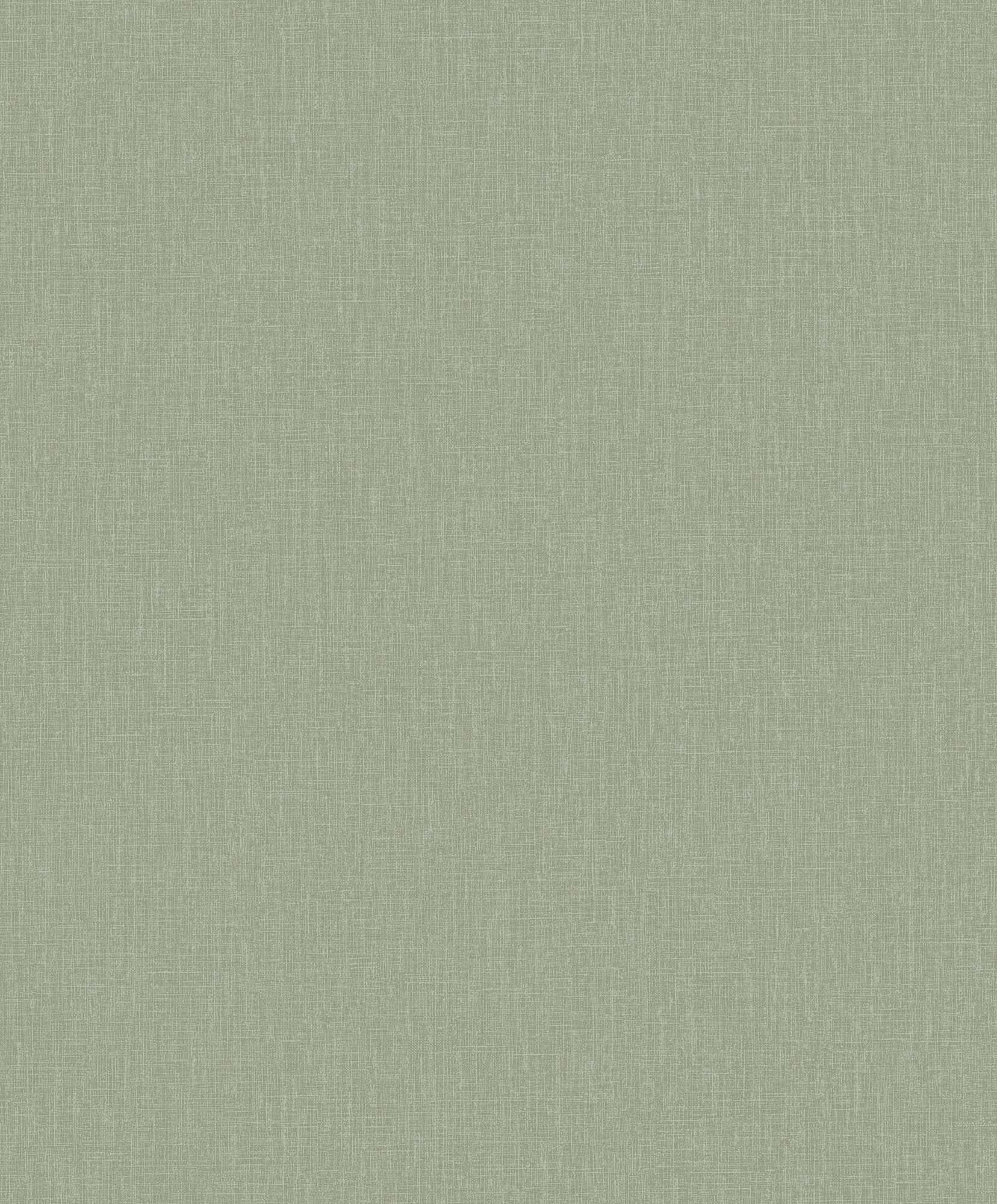 Hooked on Walls Neutralizer 01 Plain 31631