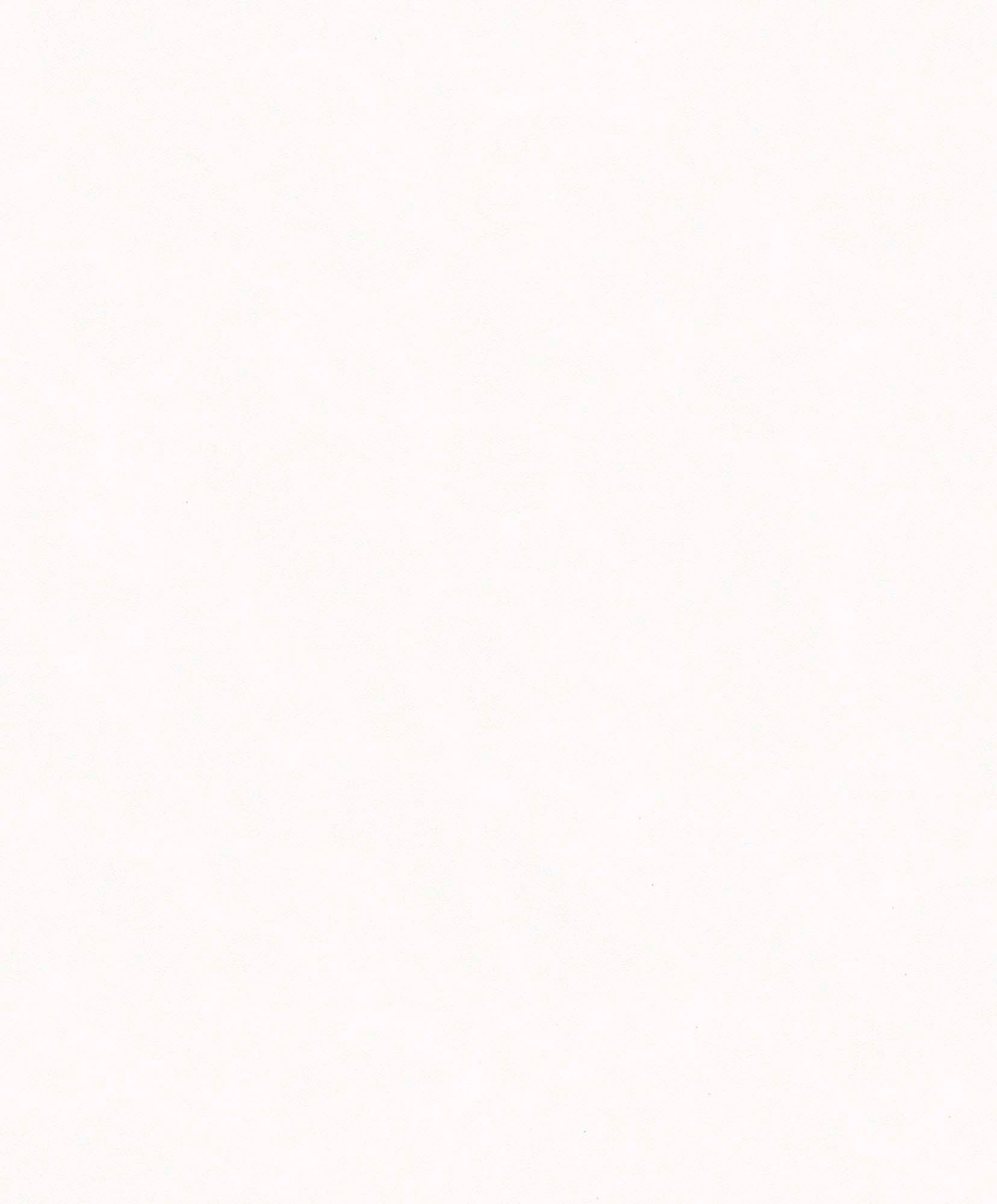 Hooked on Walls Passe Partout 2024 - 89501