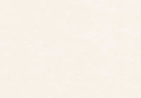 Hooked on Walls Passe Partout 2024 Bali 89606