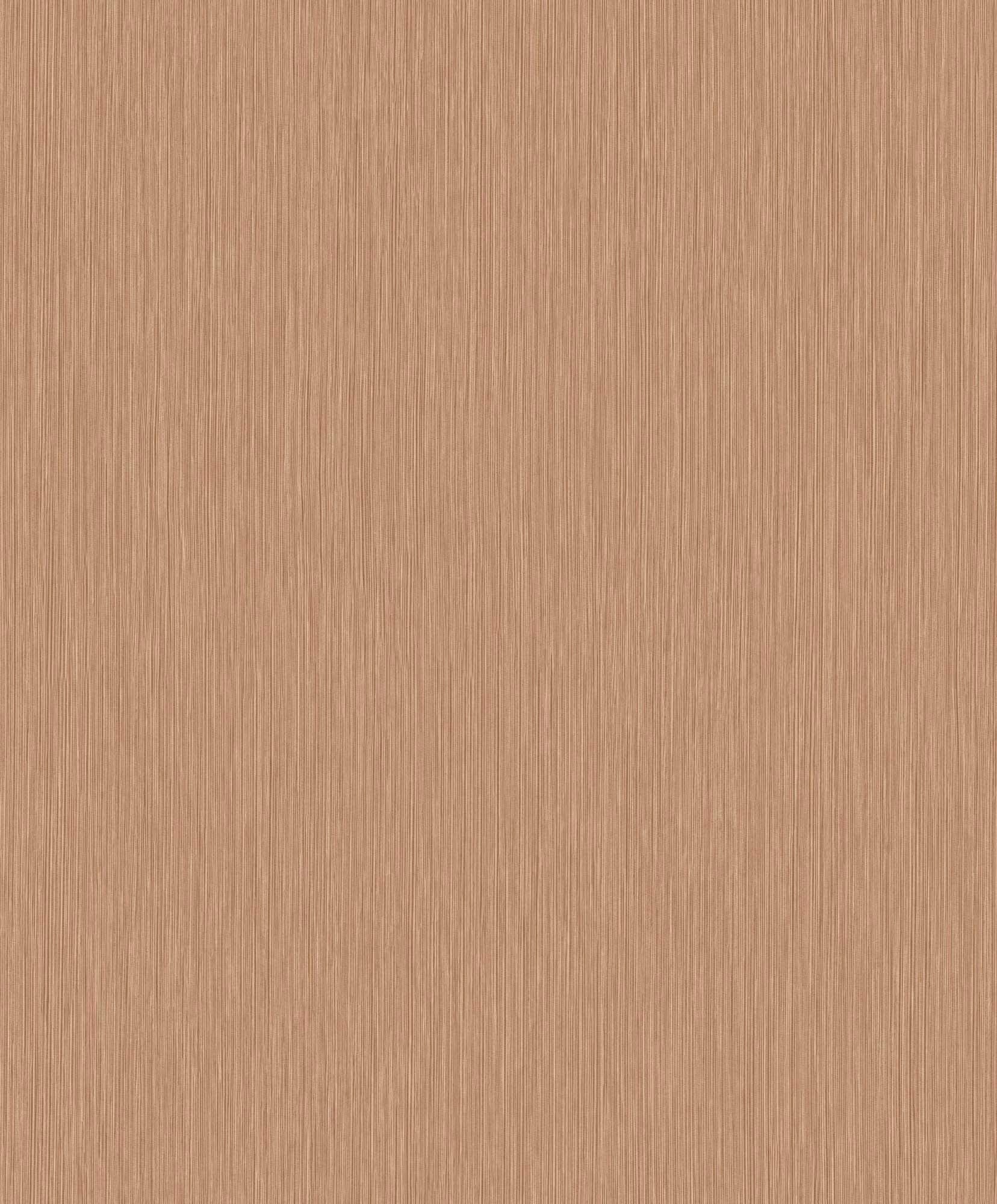 Hooked on Walls Passe Partout 2024 - 89701