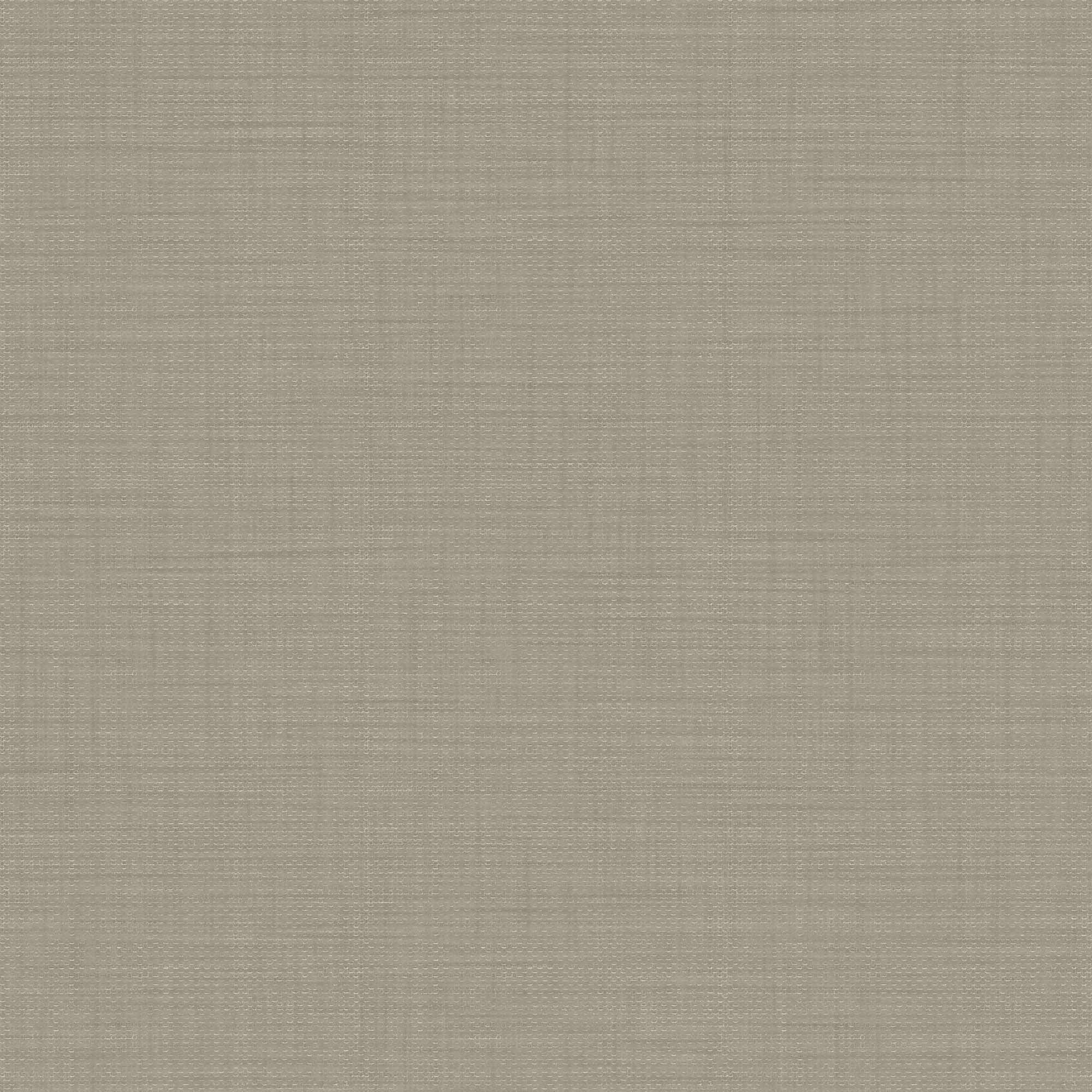 Hooked on Walls Passe Partout 2024 Unito Telamare 89714