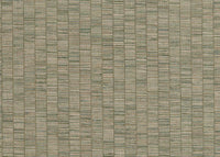 Hooked on Walls Passe Partout 2024 Unito Ribbon Grass 89726