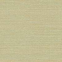 Hooked on Walls Passe Partout 2024 Shadow 89734