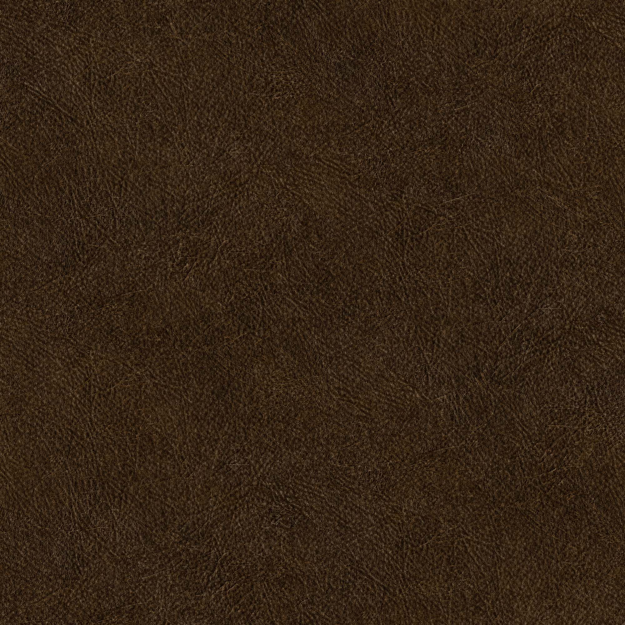 Hooked on Walls Passe Partout 2024 Cuir Uni 89746