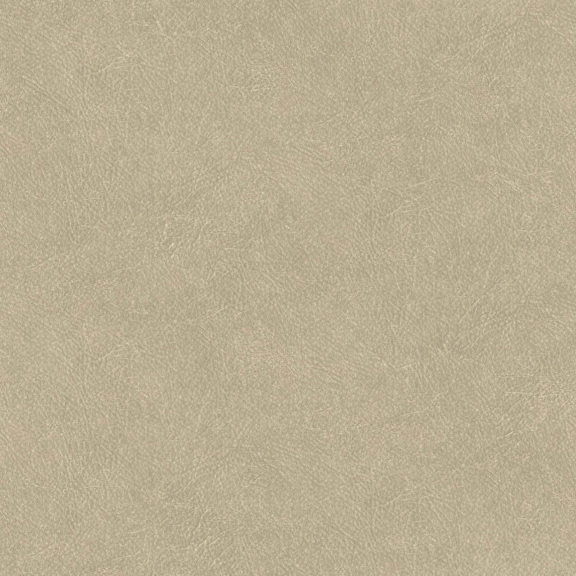 Hooked on Walls Passe Partout 2024 Leather Plain 89748