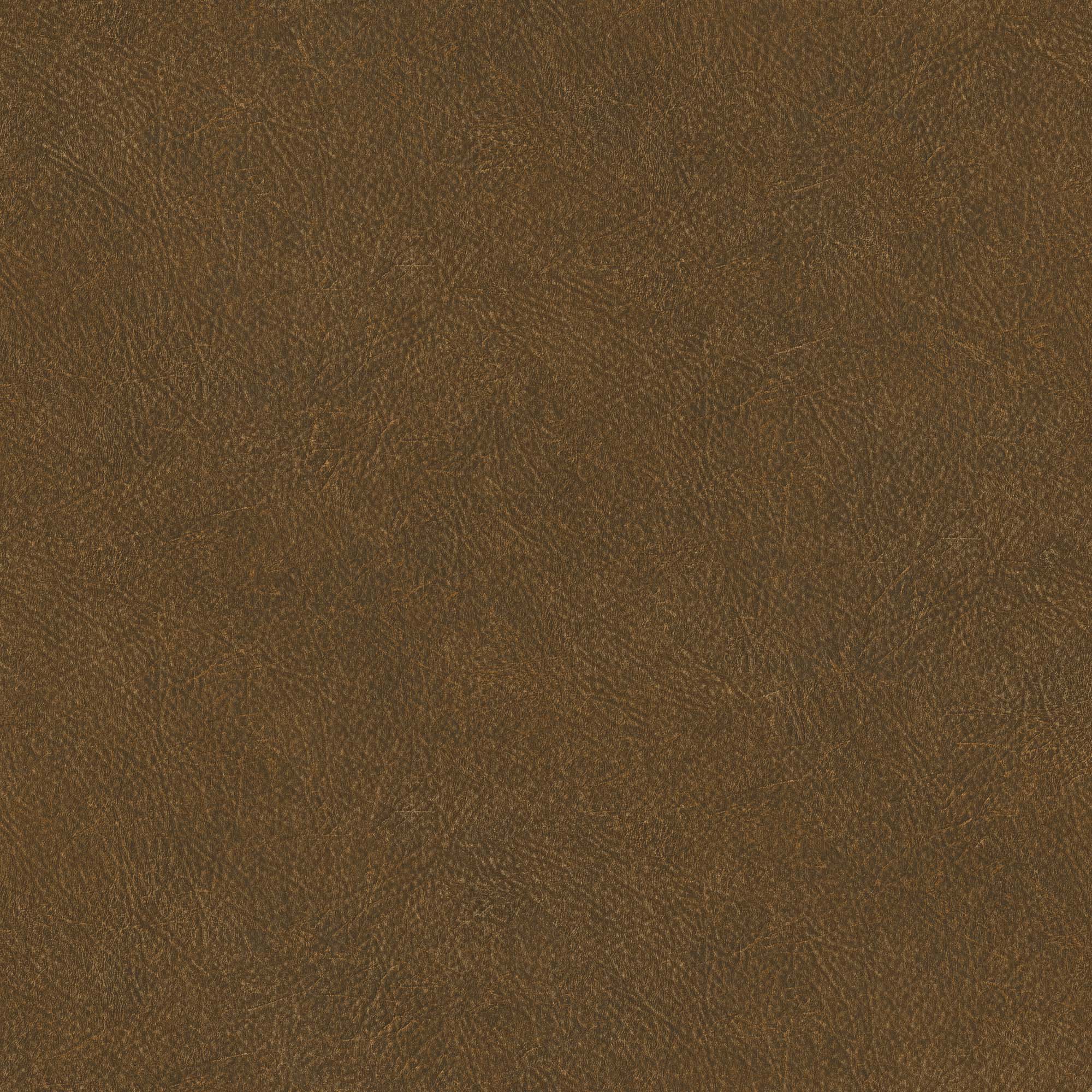 Hooked on Walls Passe Partout 2024 Leather Plain 89751