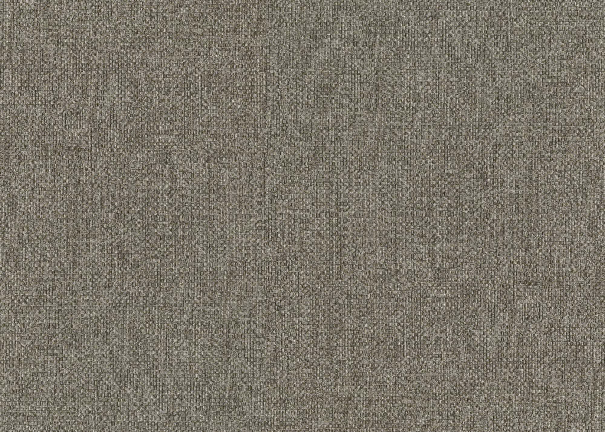 Hooked on Walls Passe Partout 2024 Baobab 89771